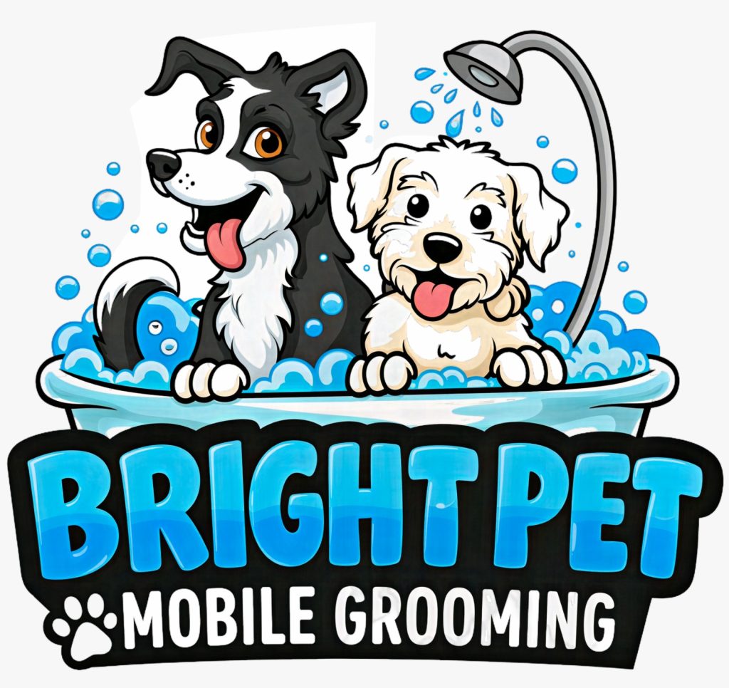 Bright Pet Groomer 1024x966